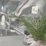 Dielleza1 Vlorë